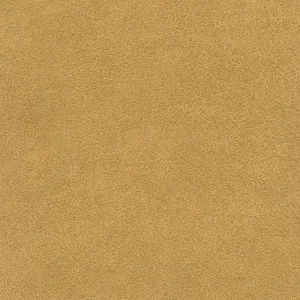 Tucson-Mustard