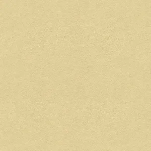 Ultrasuede-Flax