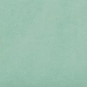 Ultrasuede Green-Seafoam