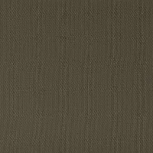 Ventura-Bronze