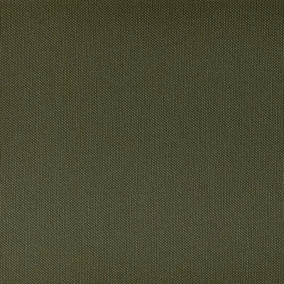 Ventura-Cactus