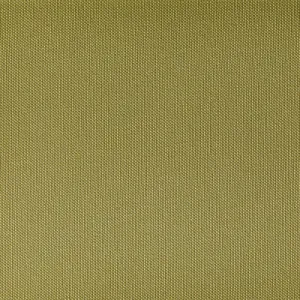 Ventura-Endive