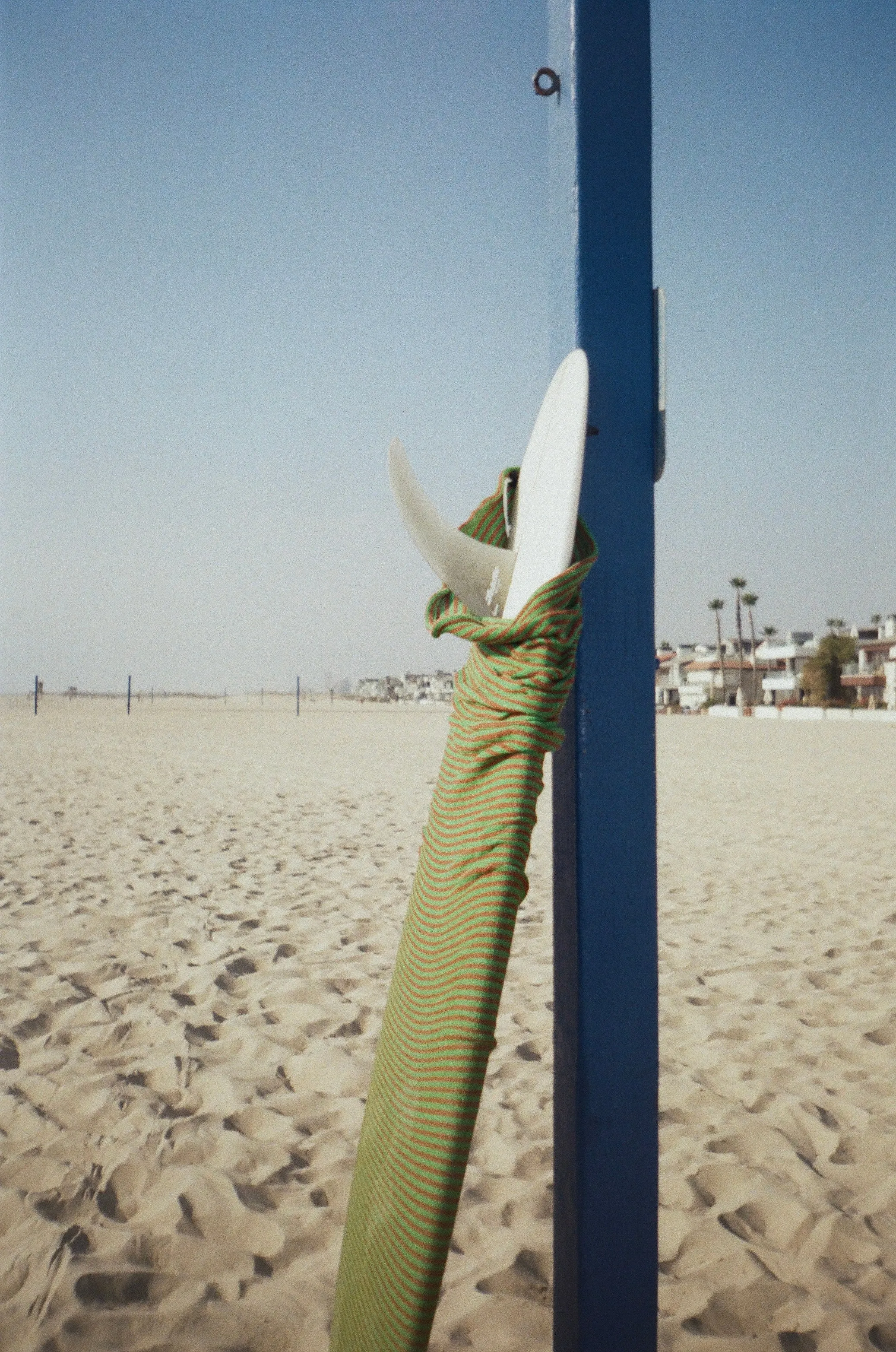 Wild Things - Board Socks
